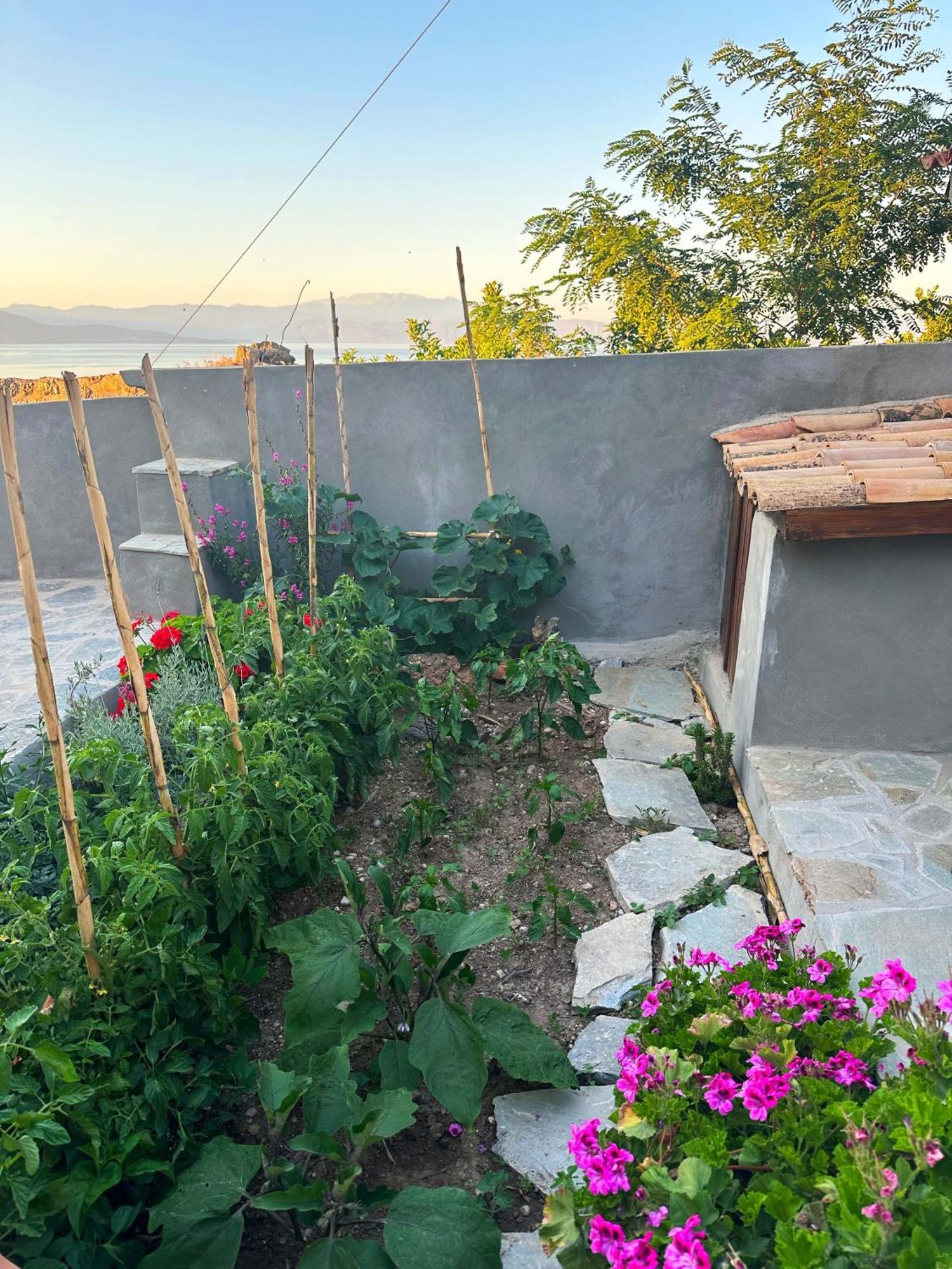 Fteri Stone House In Platanos, Akrata Apartamento Exterior foto